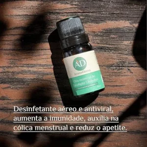 Kit Básico 3 Óleos Essenciais de Aromaterapia